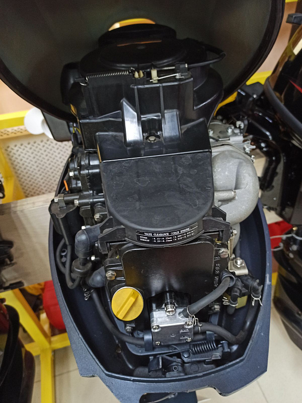 Лодочный мотор BREEZE F9,9S (4х тактный) в Бийске