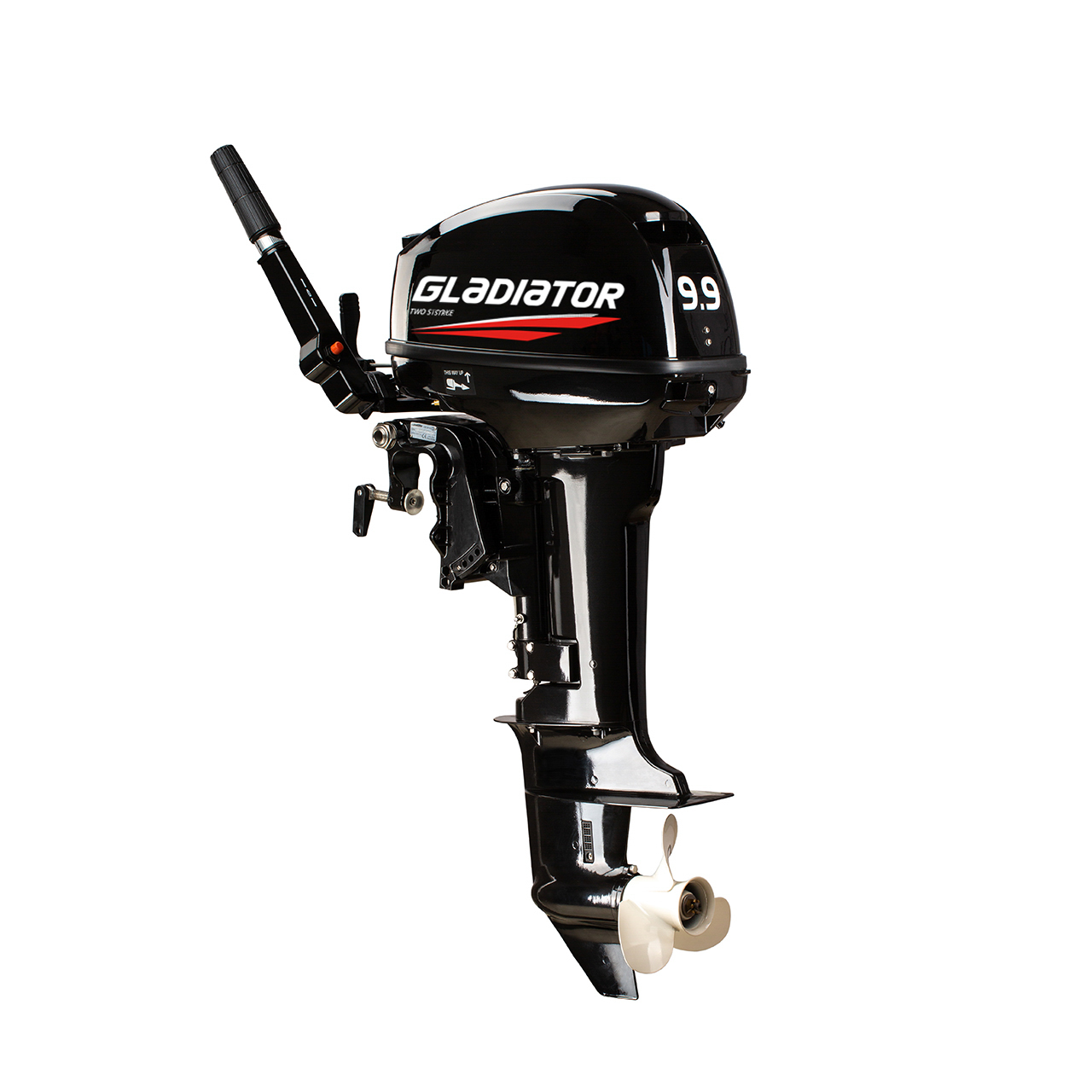 ЛОДОЧНЫЙ МОТОР GLADIATOR G9.9FHS в Бийске