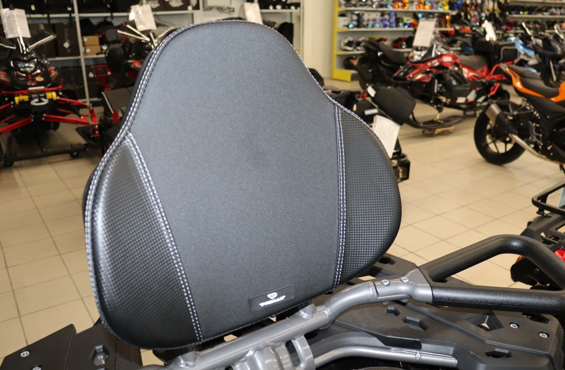 Квадроцикл PROMAX RENEGADE 300 LONG WINCH PRO (2025) в Бийске