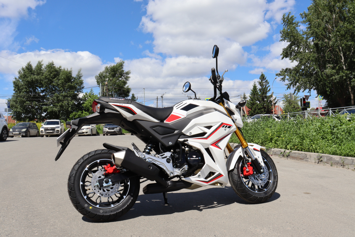 Мотоцикл PROMAX STRYKER 200(49) 2.0 в Бийске