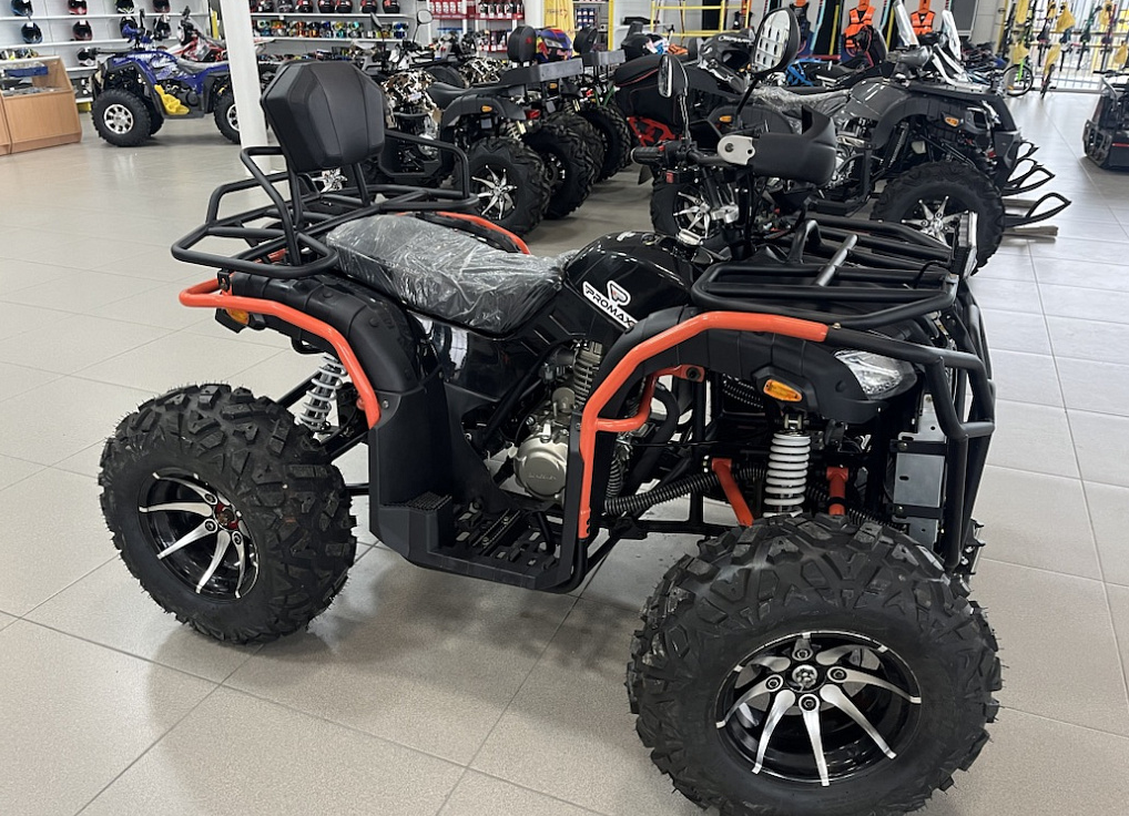 Квадроцикл PROMAX 300 4X4 ALL ROAD в Бийске