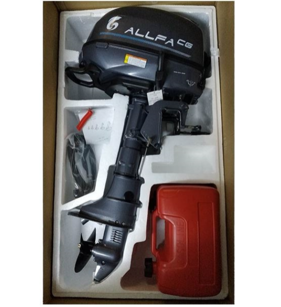 Лодочный мотор ALLFA CG F6 в Бийске