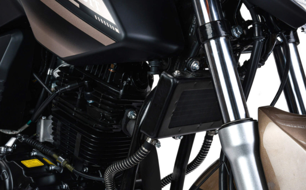 Мотоцикл MOTOLAND (МОТОЛЕНД) 300 BANDIT в Бийске