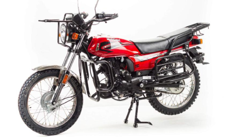 Мотоцикл MOTOLAND (МОТОЛЕНД) FORESTER LITE 200 в Бийске