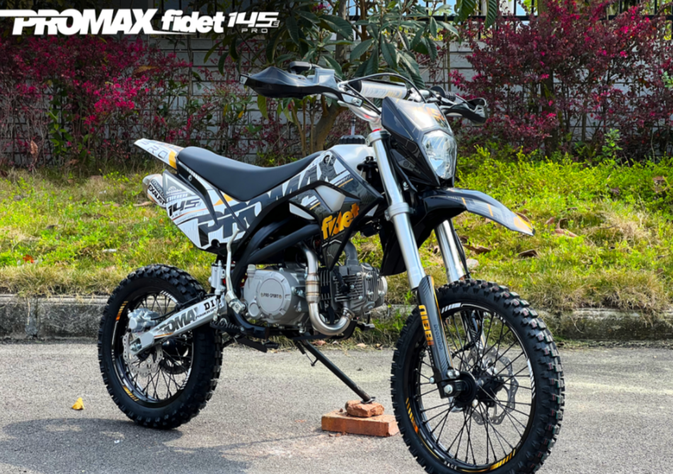 Мотоцикл (питбайк) PROMAX FIDET (ФАЙДЕТ) 145E PRO 17/14 в Бийске