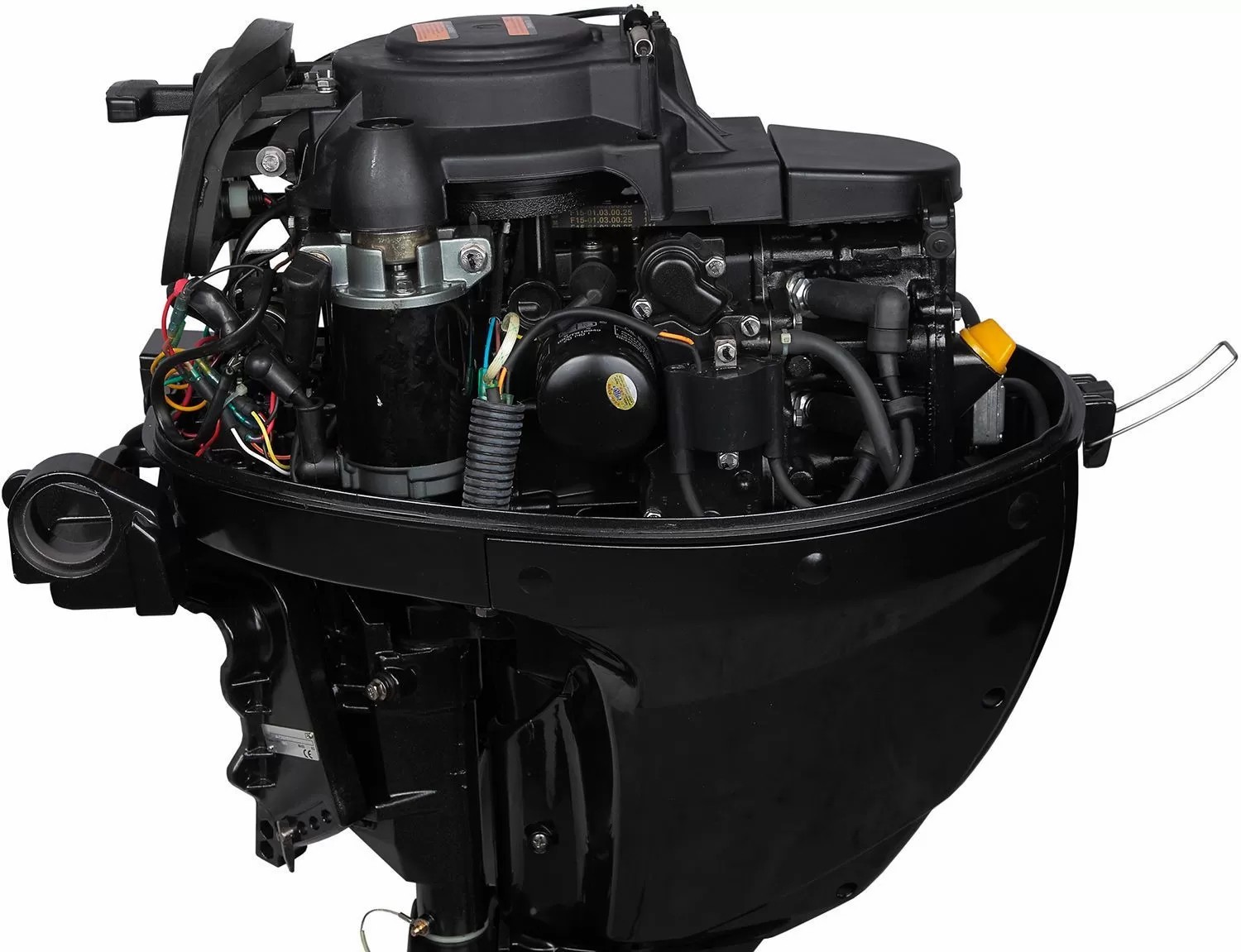 Лодочный мотор MARLIN MF 9.9 AMHS в Бийске