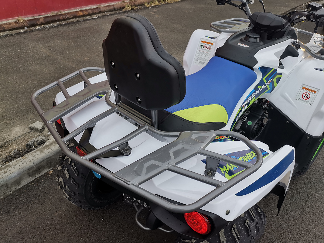 Квадроцикл PROMAX RENEGADE 280 LUX (2025) в Бийске