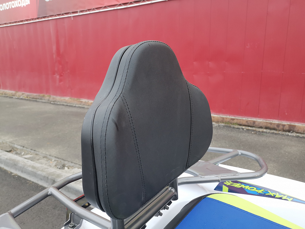 Квадроцикл PROMAX RENEGADE 280 LUX (2025) в Бийске