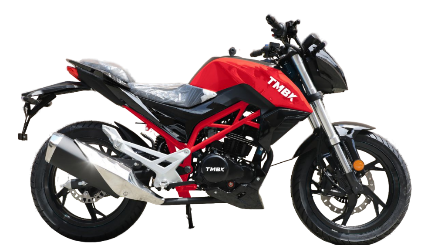 Мотоцикл TMBK Dukes 200cc в Бийске