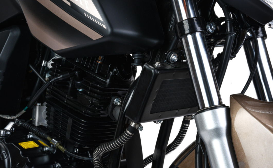 Мотоцикл MOTOLAND (МОТОЛЕНД) 300 BANDIT в Бийске