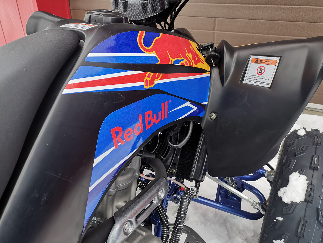 Квадроцикл PROMAX RAPTOR 300 NEW RedBull в Бийске