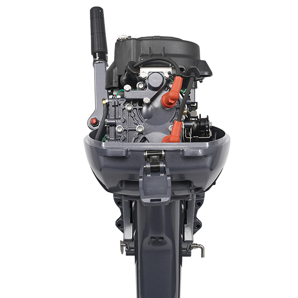 ЛОДОЧНЫЙ МОТОР ALLFA CG Т9,9 Limit в Бийске