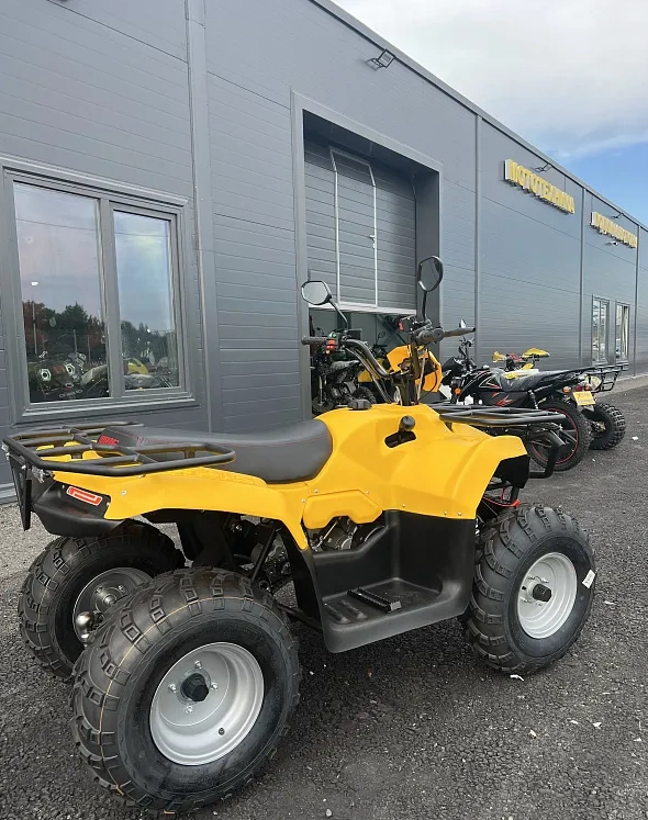 КВАДРОЦИКЛ IRBIS ATV 250  в Бийске