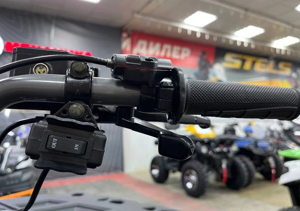 Квадроцикл PROMAX RENEGADE 300 LONG WINCH PRO (2025) в Бийске