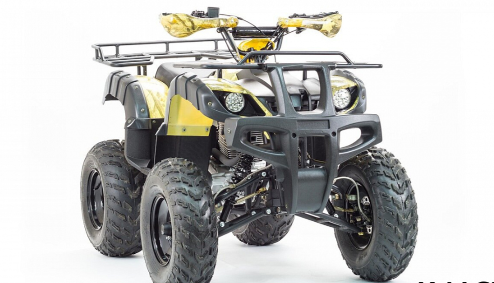 Квадроцикл MOTOLAND (МОТОЛЕНД) 250 ADVENTURE в Бийске