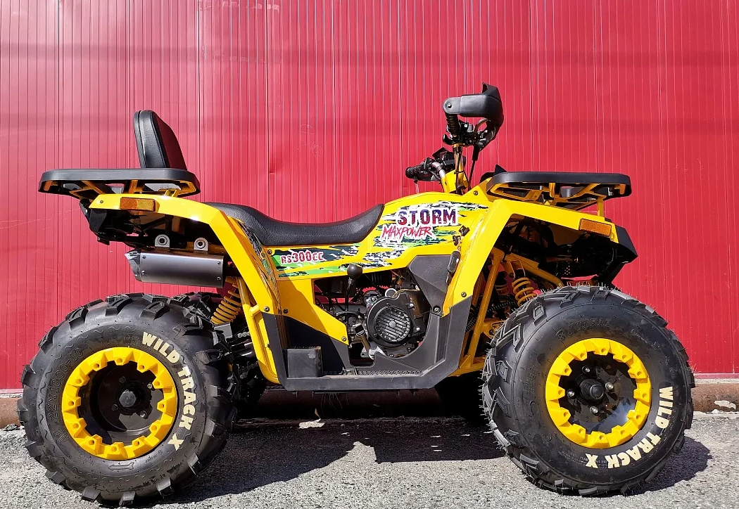 Квадроцикл PROMAX STORM 280 LUX в Бийске