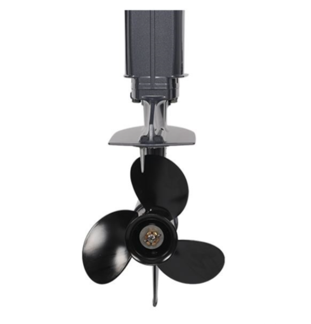 Лодочный мотор ALLFA CG Т40FW S в Бийске