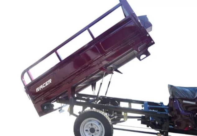 Трицикл RACER RC200ZH MURAVEI в Бийске