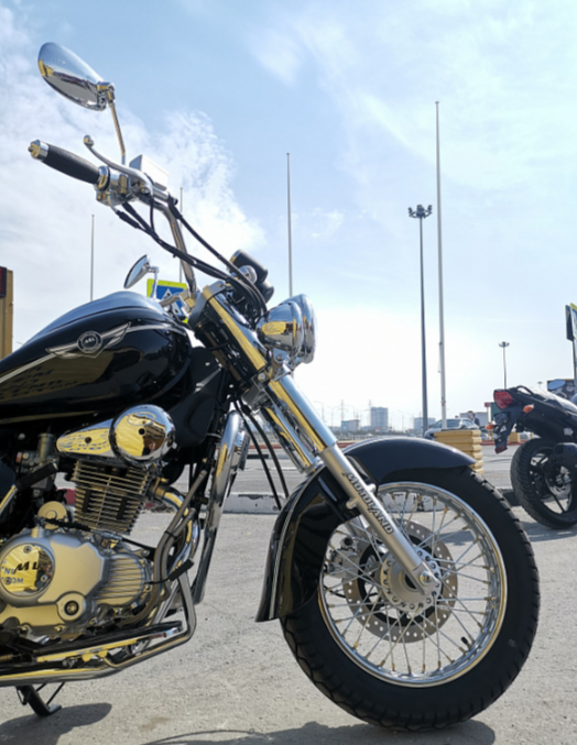 Мотоцикл MOTOLAND (МОТОЛЕНД) WOLF 250 в Бийске