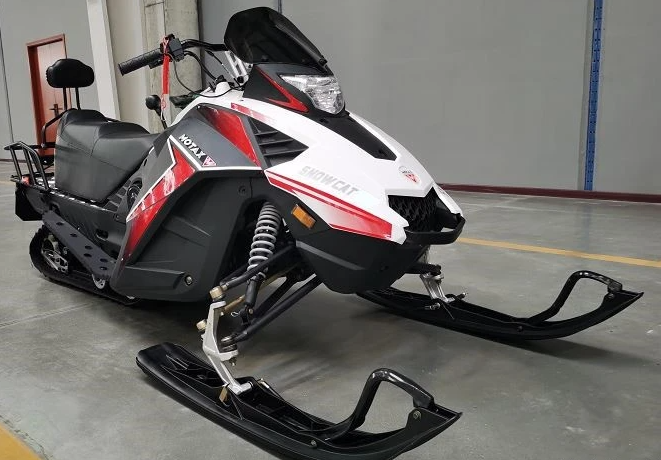 Снегоход Motax Snow Cat 180 EFI в Бийске