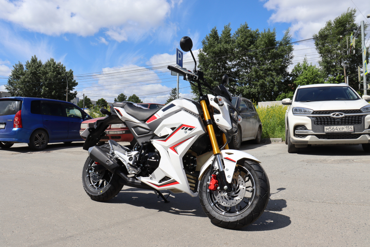 Мотоцикл PROMAX STRYKER 200(49) 2.0 в Бийске