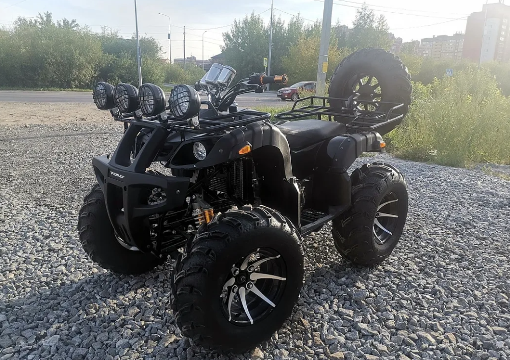 Квадроцикл PROMAX LEO 300 Max (кардан) в Бийске