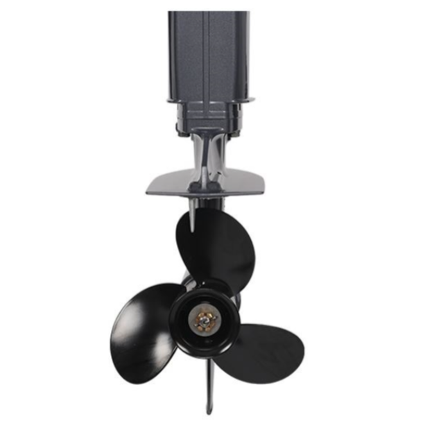 Лодочный мотор ALLFA CG Т40FWT S в Бийске