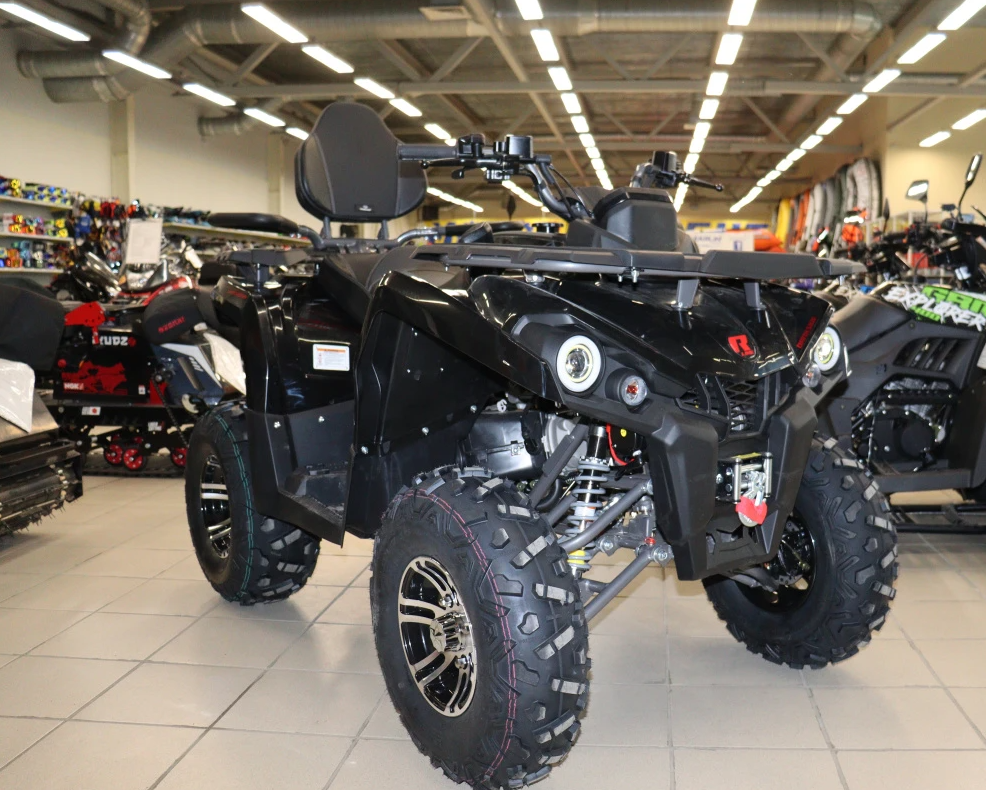 Квадроцикл PROMAX RENEGADE 300 LONG WINCH PRO (2025) в Бийске