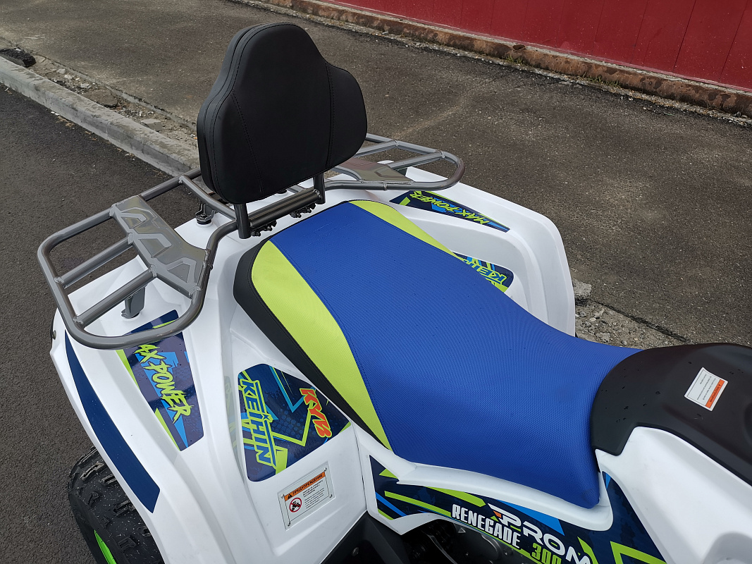 Квадроцикл PROMAX RENEGADE 280 LUX (2025) в Бийске
