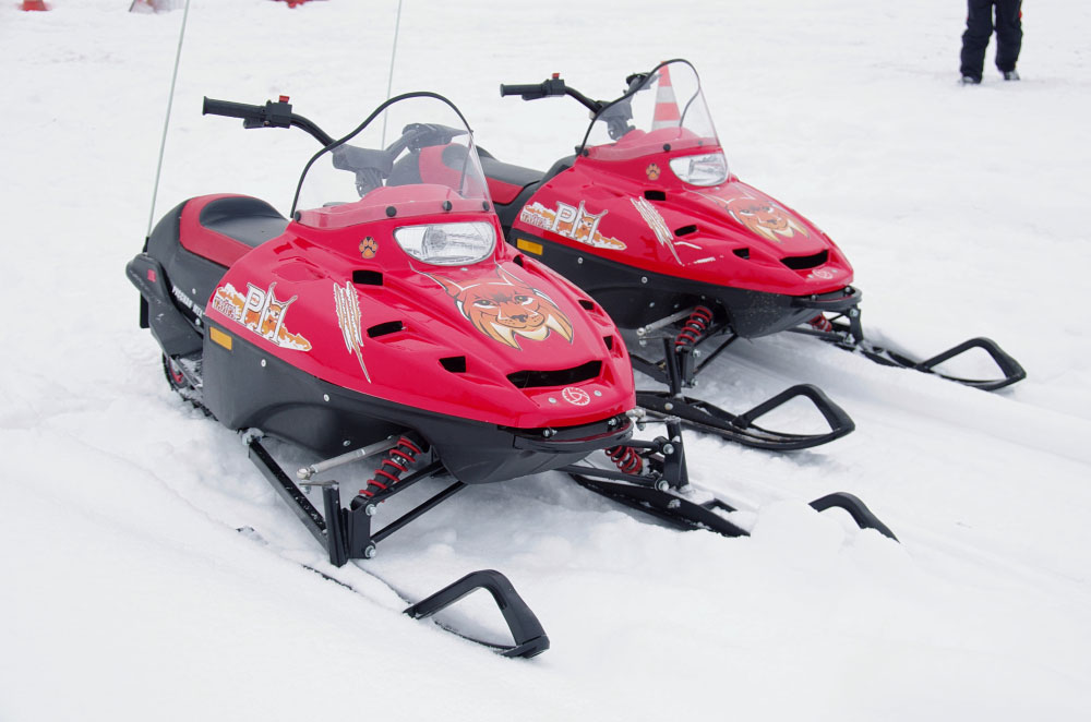 Снегоход РМ ТАЙГА РЫСЬ в Бийске