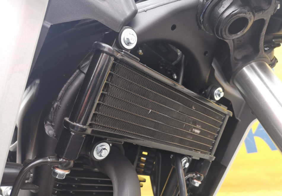 Мотоцикл MOTOLAND (МОТОЛЕНД) 250 CB250 (172FMM-5/PR250) (2022 г.) в Бийске