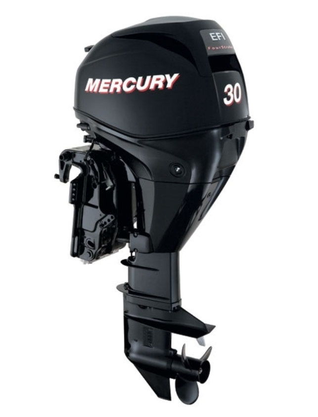 ЛОДОЧНЫЙ МОТОР MERCURY  F 30 ELH GA EFI в Бийске