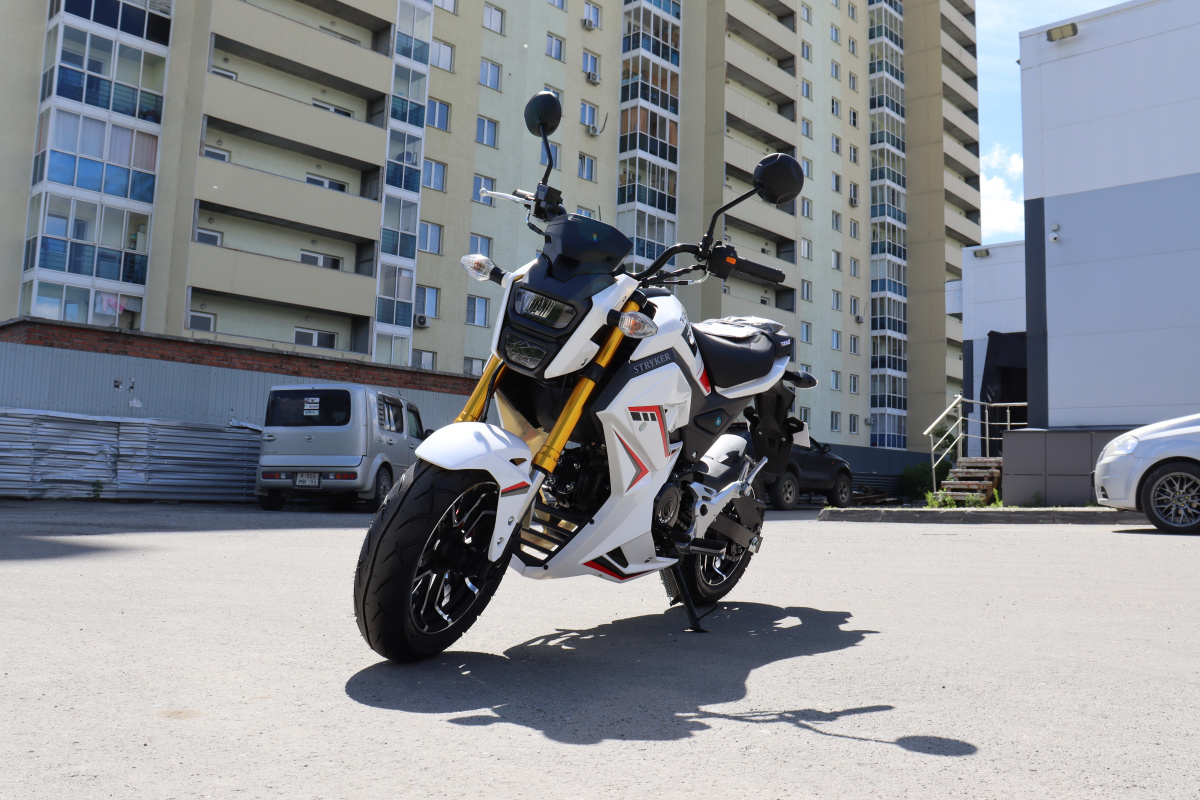 Мотоцикл PROMAX STRYKER 200(49) 2.0 в Бийске