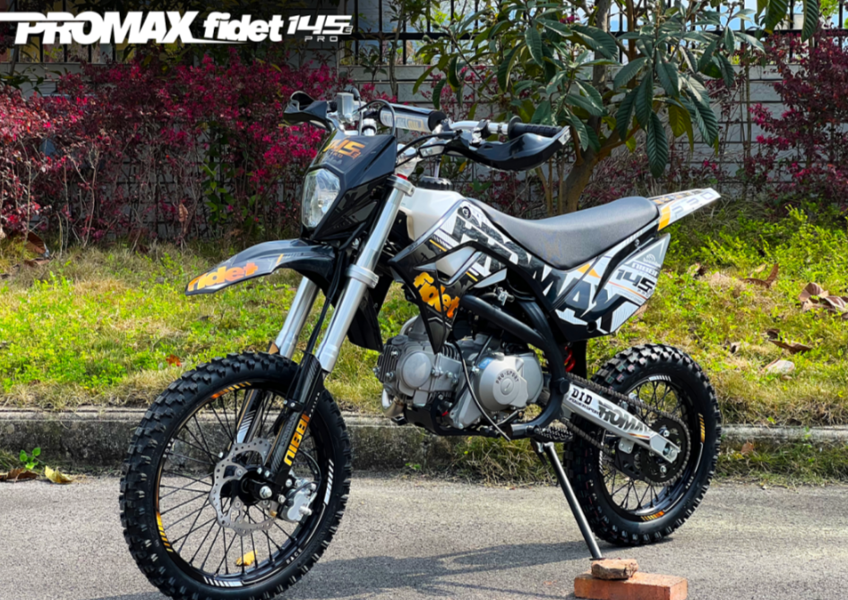 Мотоцикл (питбайк) PROMAX FIDET (ФАЙДЕТ) 145E PRO 17/14 в Бийске