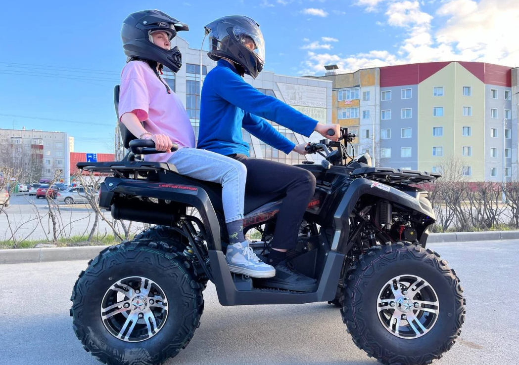 Квадроцикл PROMAX RENEGADE 300 LONG WINCH PRO (2025) в Бийске