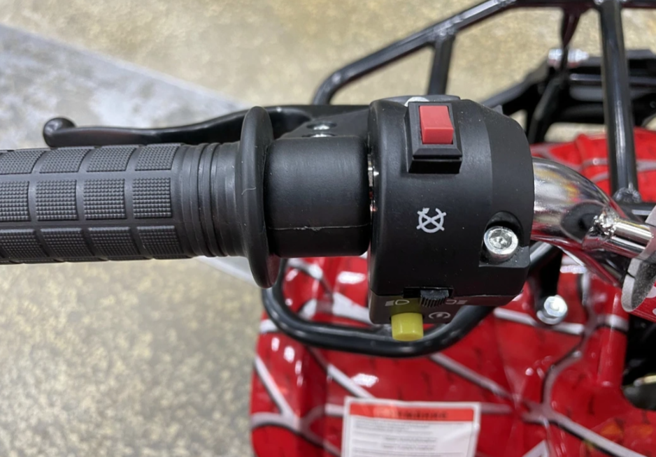 Квадроцикл PROMAX ATV MINI 2T 70CC р/с в Бийске