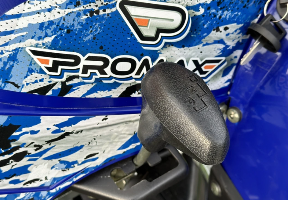  Квадроцикл PROMAX ATV 250 MAX (2025) в Бийске