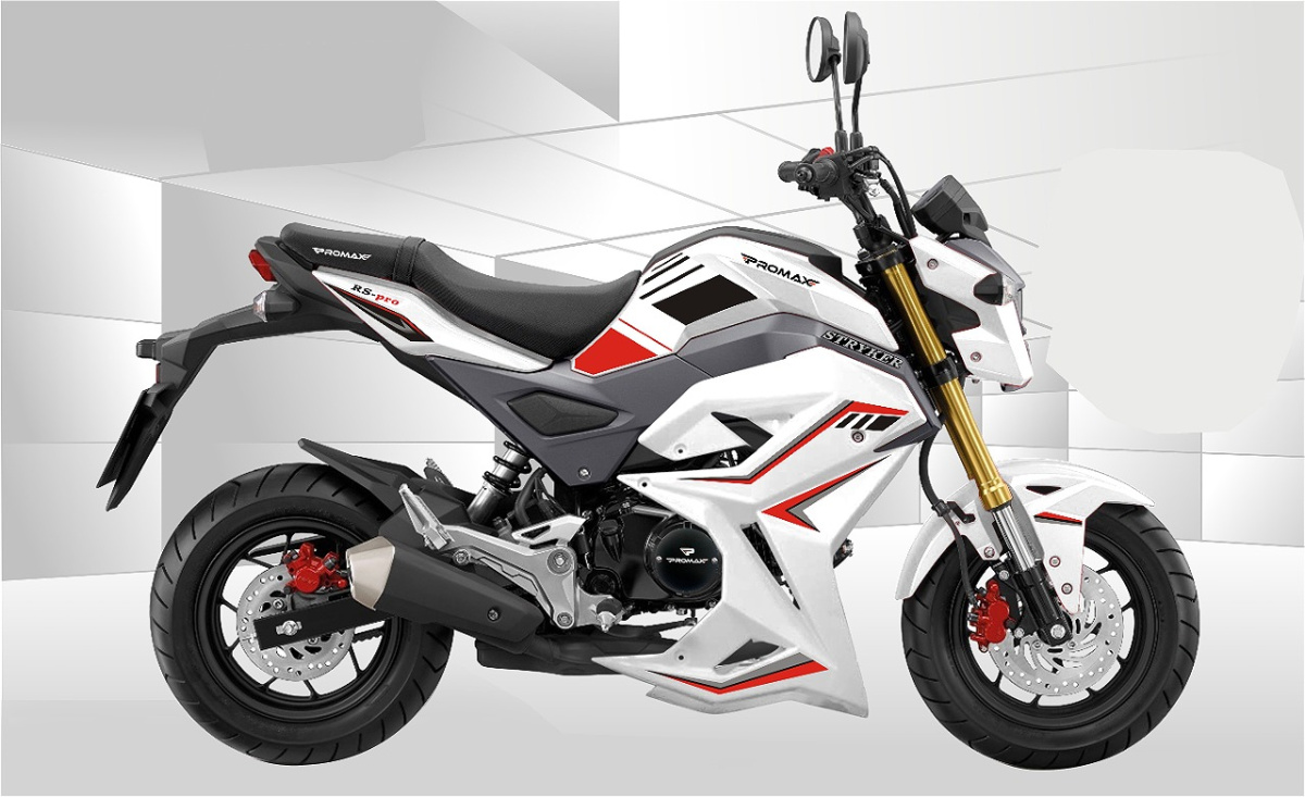 Мотоцикл PROMAX STRYKER 200(49) 2.0 в Бийске