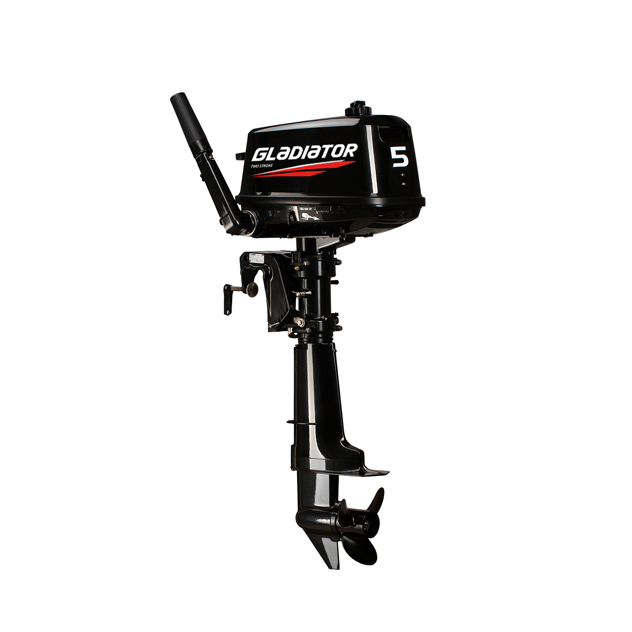 ЛОДОЧНЫЙ МОТОР GLADIATOR G5FHS в Бийске