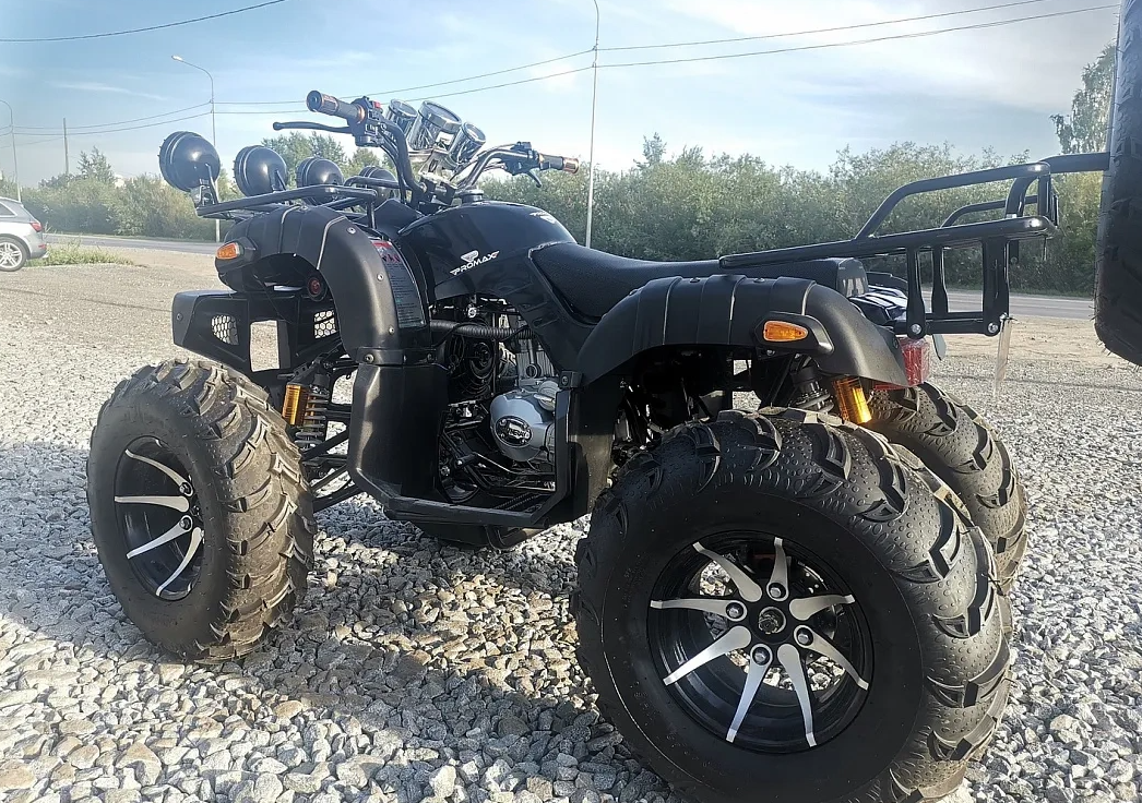 Квадроцикл PROMAX LEO 300 Max (кардан) в Бийске