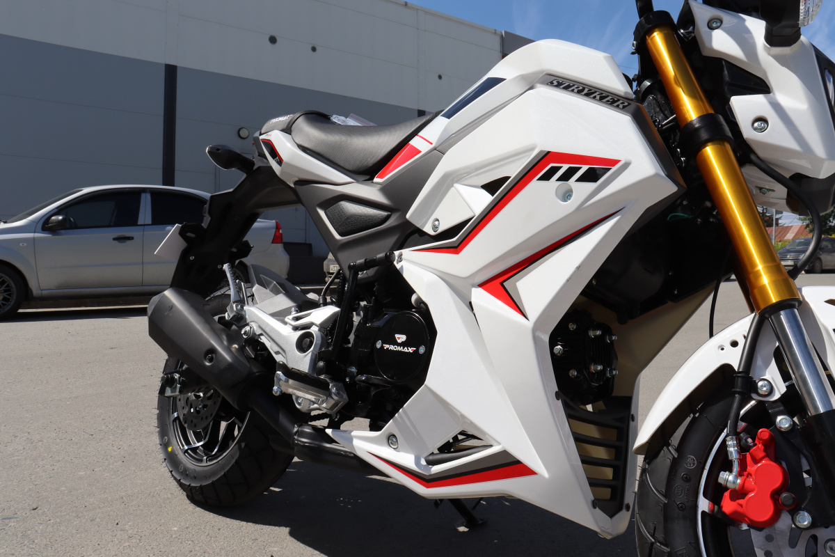 Мотоцикл PROMAX STRYKER 200(49) 2.0 в Бийске