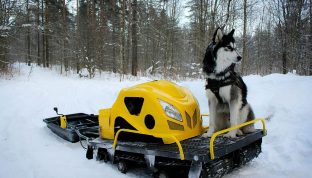Мотобуксировщик LEBEDEV MOTORS ВОЛКОДАВ POWER V13 в Бийске