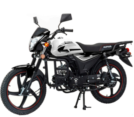 Мопед MOTOLAND (МОТОЛЕНД) Альфа RS 11 (LM48-B) в Бийске