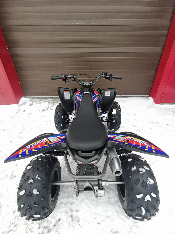 Квадроцикл PROMAX RAPTOR 300 NEW RedBull в Бийске