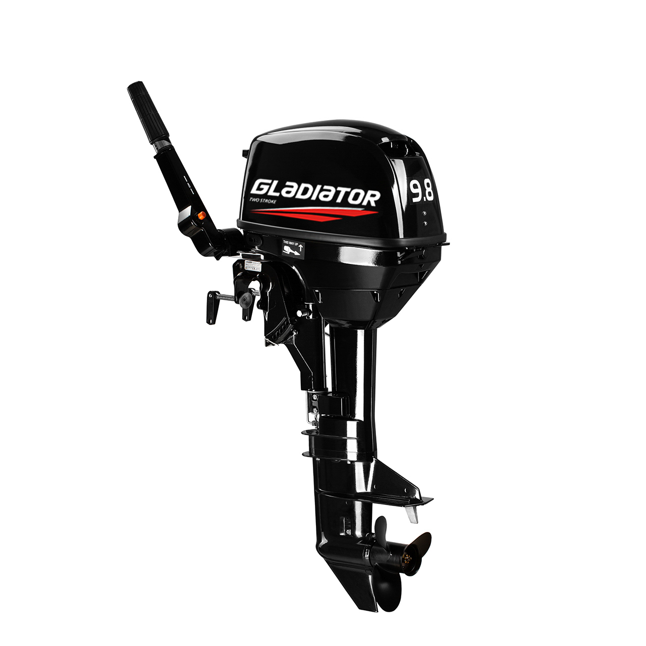 ЛОДОЧНЫЙ МОТОР GLADIATOR G9.8FHS в Бийске