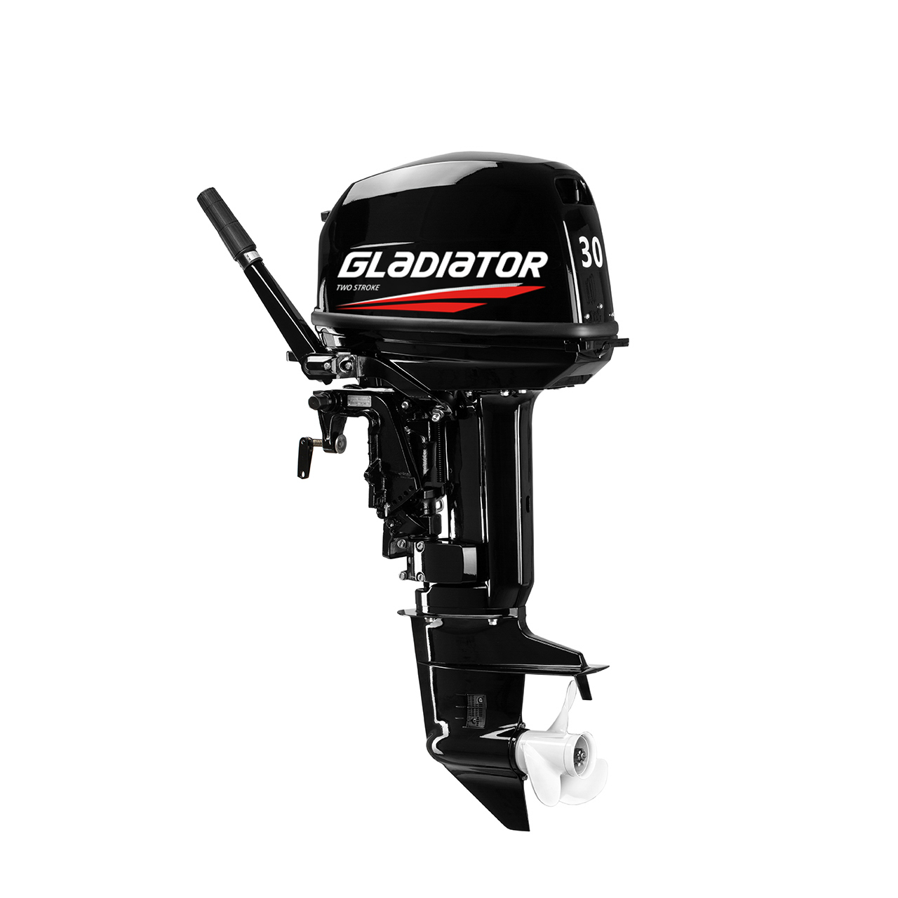 ЛОДОЧНЫЙ МОТОР GLADIATOR G30FHS в Бийске