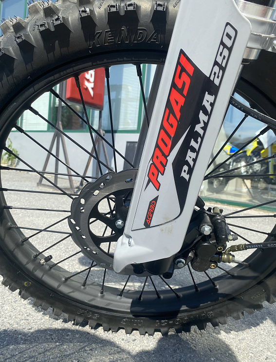 Мотоцикл Progasi PALMA 300 NEW (CB300F) в Бийске