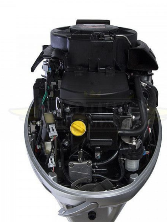 Лодочный мотор SEANOVO SNEF30FEL-EFI в Бийске