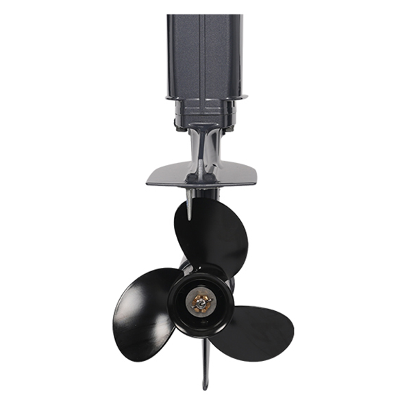 Лодочный мотор ALLFA CG Т9.9(20)MAX в Бийске