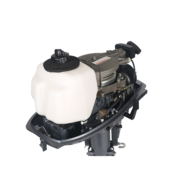 ЛОДОЧНЫЙ МОТОР ALLFA CG T5 в Бийске